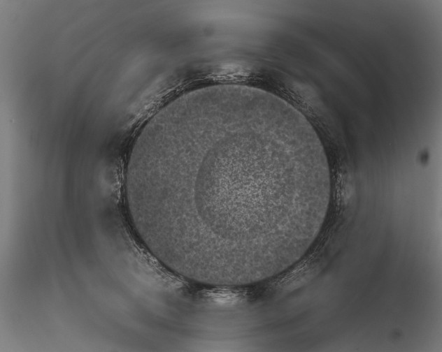 X0000116100370200912071305