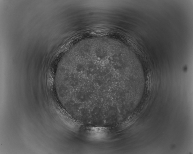 X0000116100371200912071305