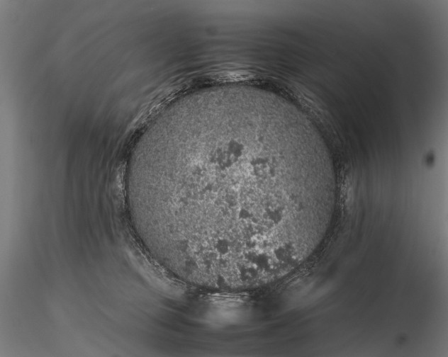 X0000116100373200912071305