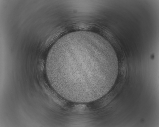 X0000116100374200912071305