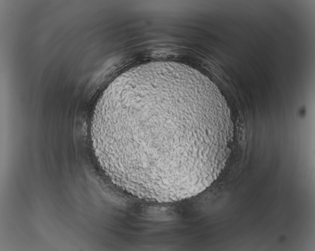 X0000116100375200912071305