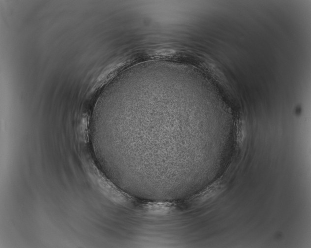 X0000116100378200912071305