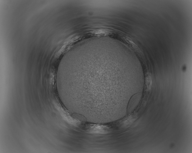 X0000116100379200912071305