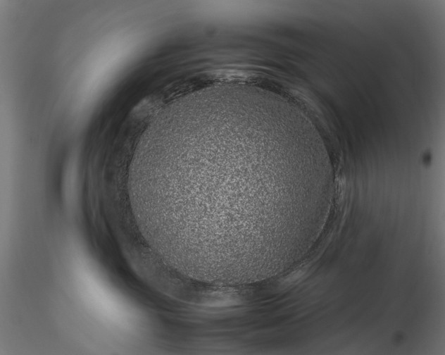 X0000116100381200912071305