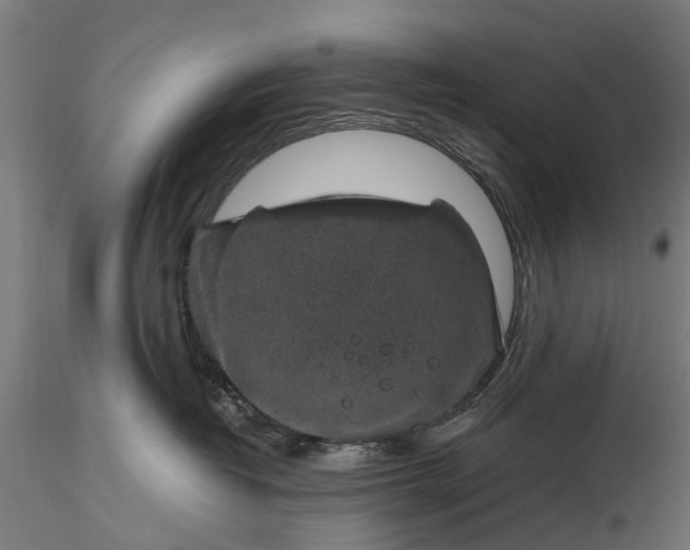 X0000116100382200912071305