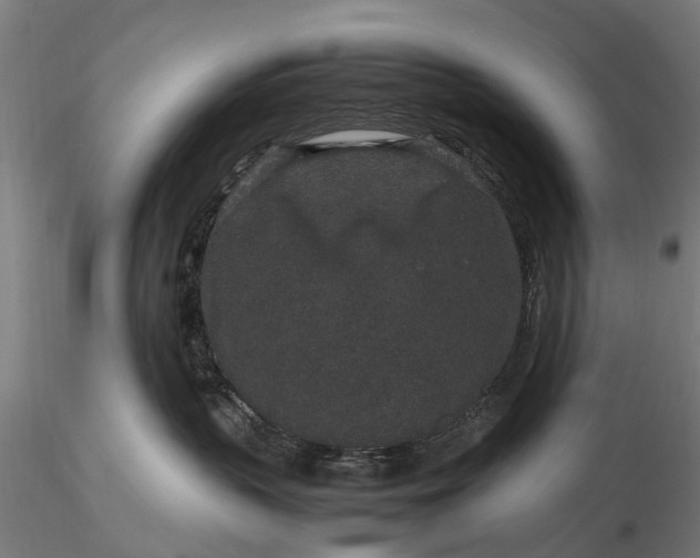 X0000116100383200912071306