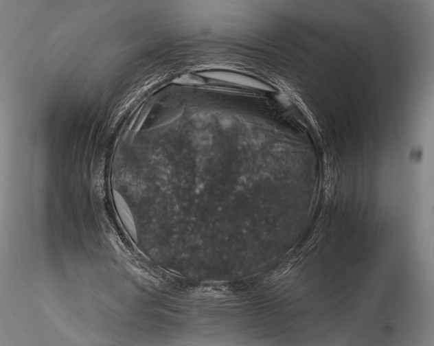 X0000116100386200912071305