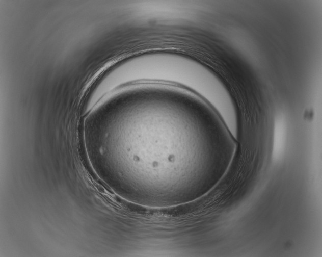 X0000116100387200912071305