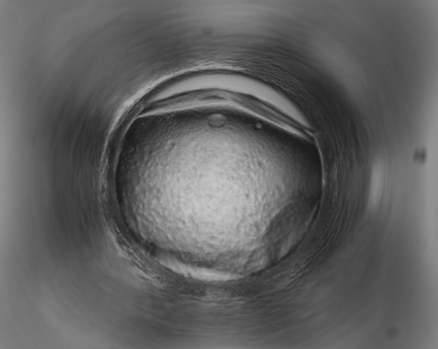 X0000116100388200912071305