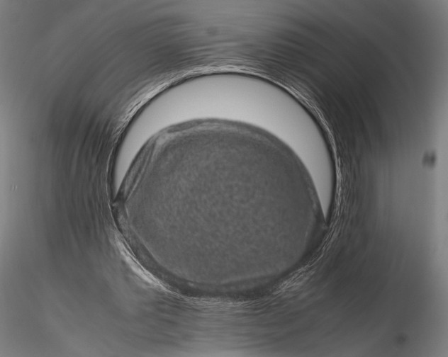 X0000116100389200912071305