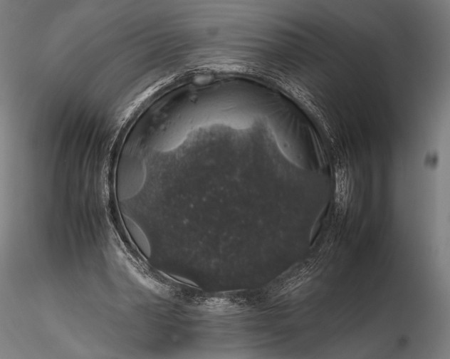 X0000116100390200912071305