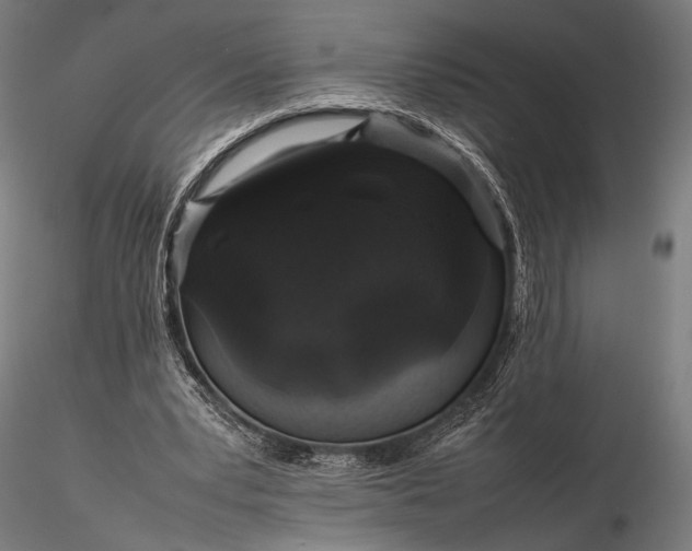 X0000116100391200912071305