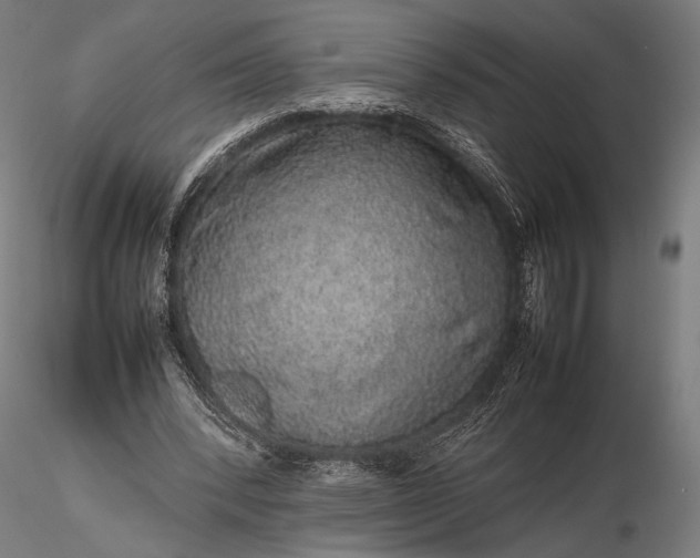 X0000116100392200912071305