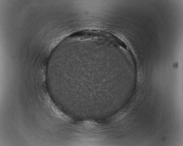 X0000116100393200912071305