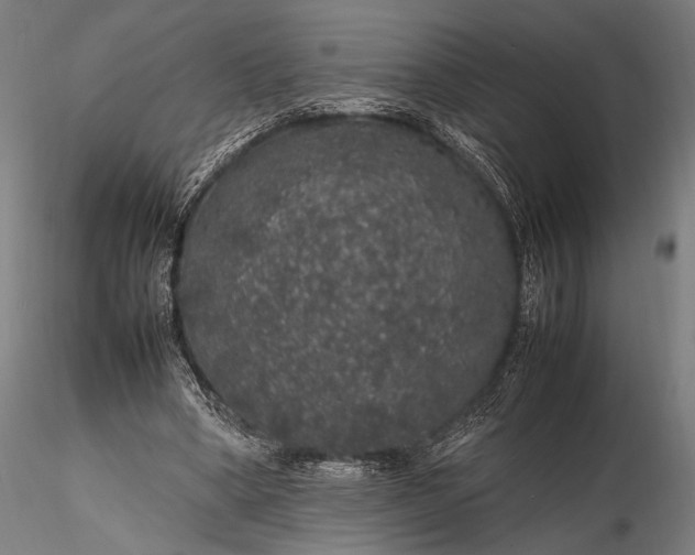 X0000116100394200912071305