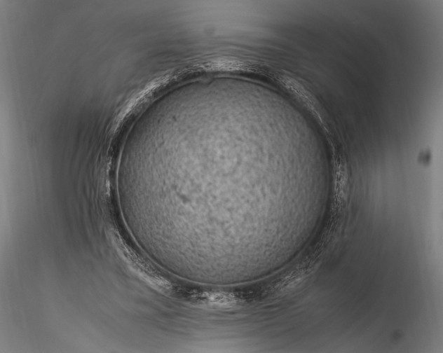 X0000116100395200912071305