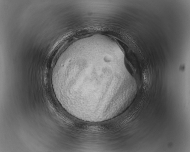 X0000116100396200912071305