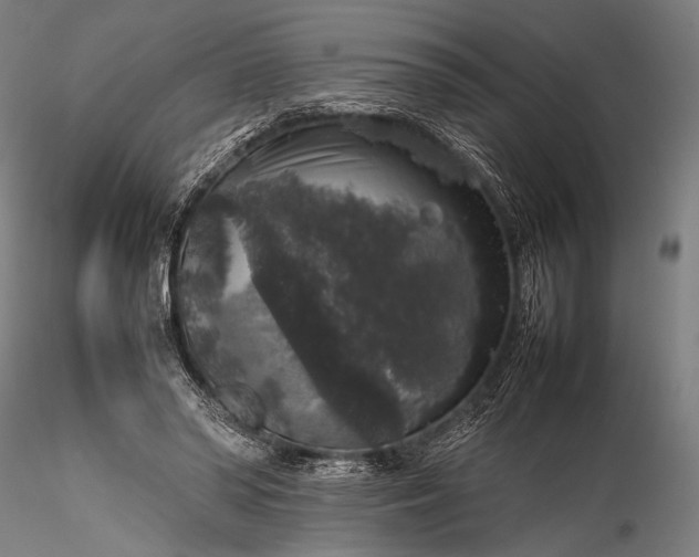 X0000116100398200912071304