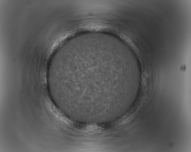 X0000116100399200912071304