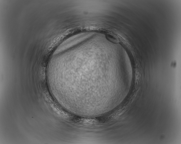 X0000116100401200912071304