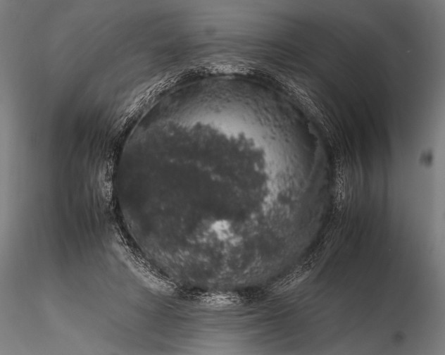 X0000116100402200912071304