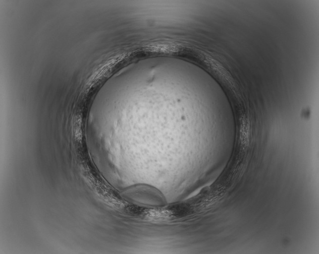 X0000116100403200912071304