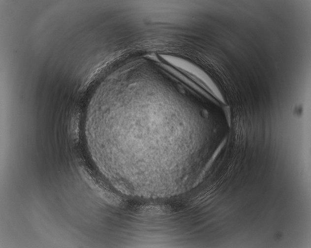 X0000116100404200912071304