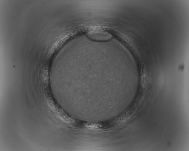 X0000116100407200912071304