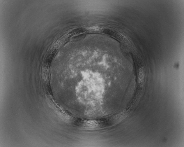 X0000116100409200912071304