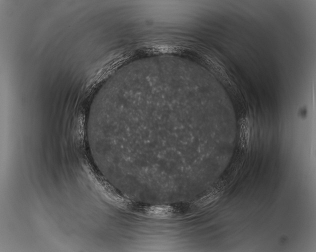 X0000116100410200912071304