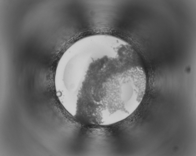 X0000116100411200912071304