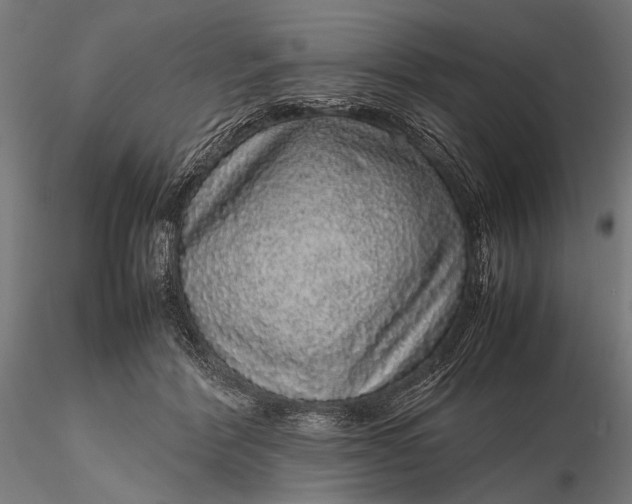 X0000116100412200912071304