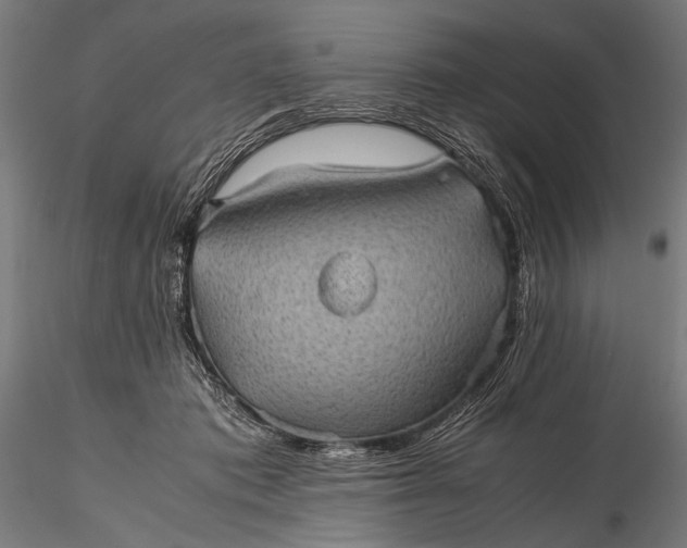 X0000116100413200912071304