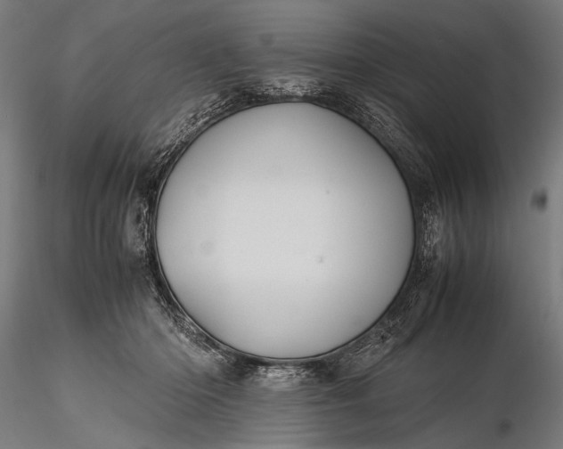 X0000116100414200912071304