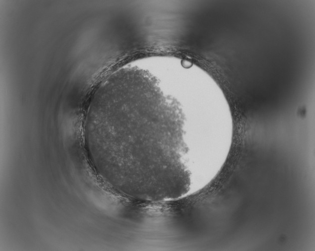 X0000116100415200912071304