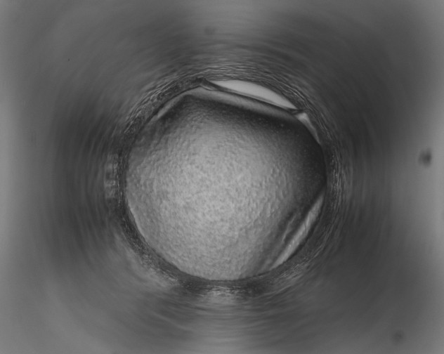 X0000116100416200912071304