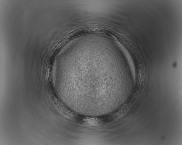 X0000116100417200912071304