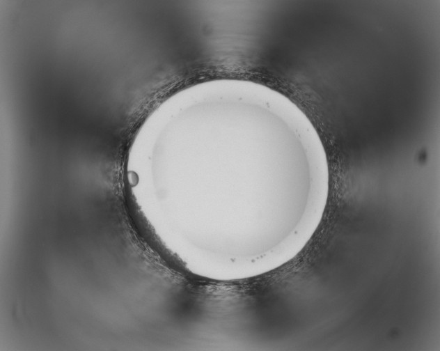 X0000116100419200912071304