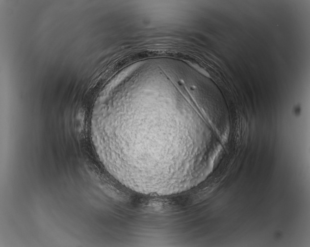 X0000116100420200912071304