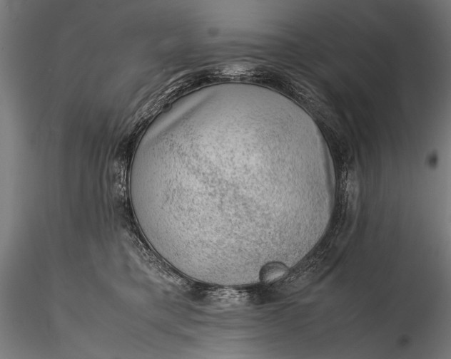 X0000116100421200912071304