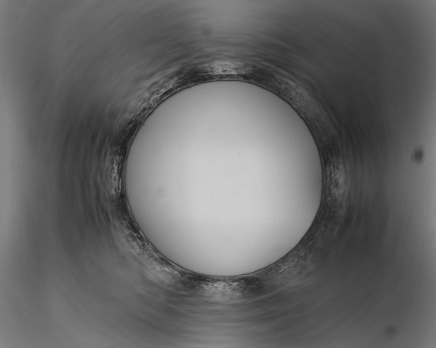 X0000116100422200912071304