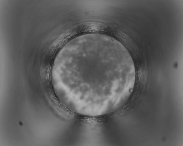 X0000116100423200912071304