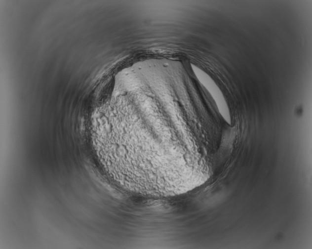 X0000116100424200912071304