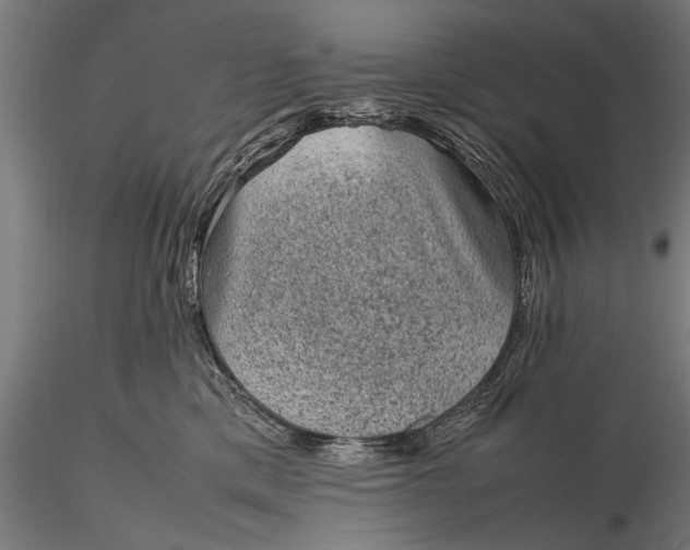 X0000116100425200912071304