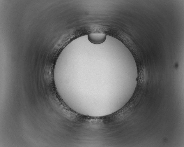 X0000116100426200912071304