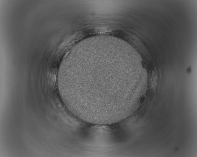 X0000116100427200912071304