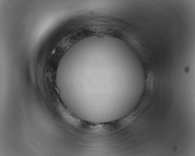 X0000116100430200912071304