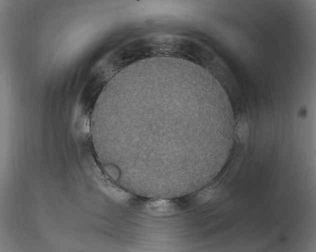 X0000116100431200912071304