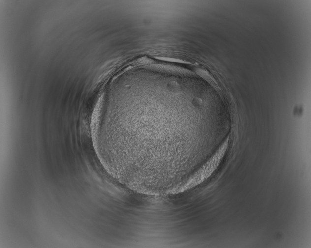 X0000116100432200912071304