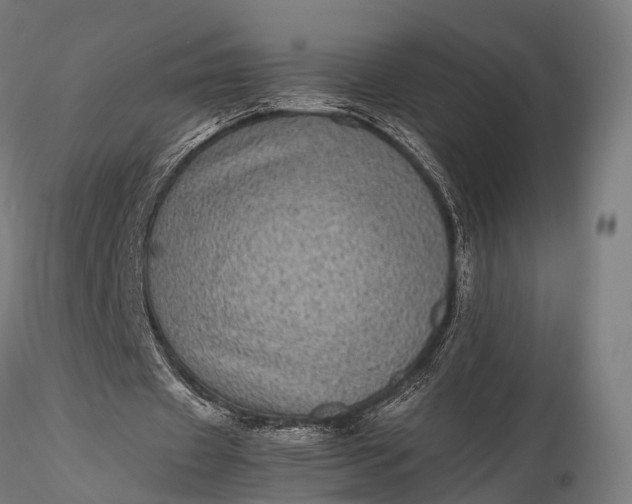 X0000116100433200912071303